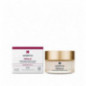 Sesderma Ferulac Antioxidant Facial Cream 50 ml (ny)