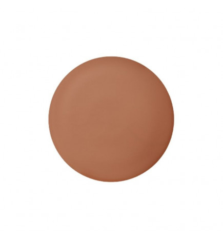 Heliocare 360 Sonnenschutz Oil-Free Bräunender Kompaktpuder SPF50+ 10g