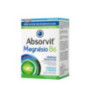 Absorvit Magnésio B6 60 Comprimidos