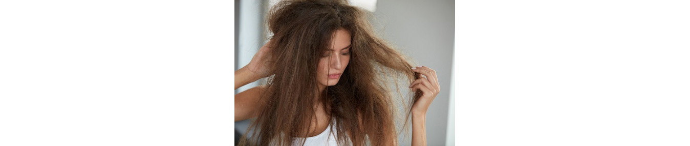 Cabelo Seco ou Muito Seco