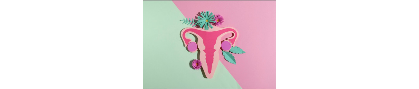 Female Reproductive System