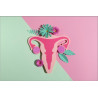 Female Reproductive System