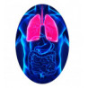 Benessere respiratorio
