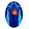 Benessere cardiovascolare